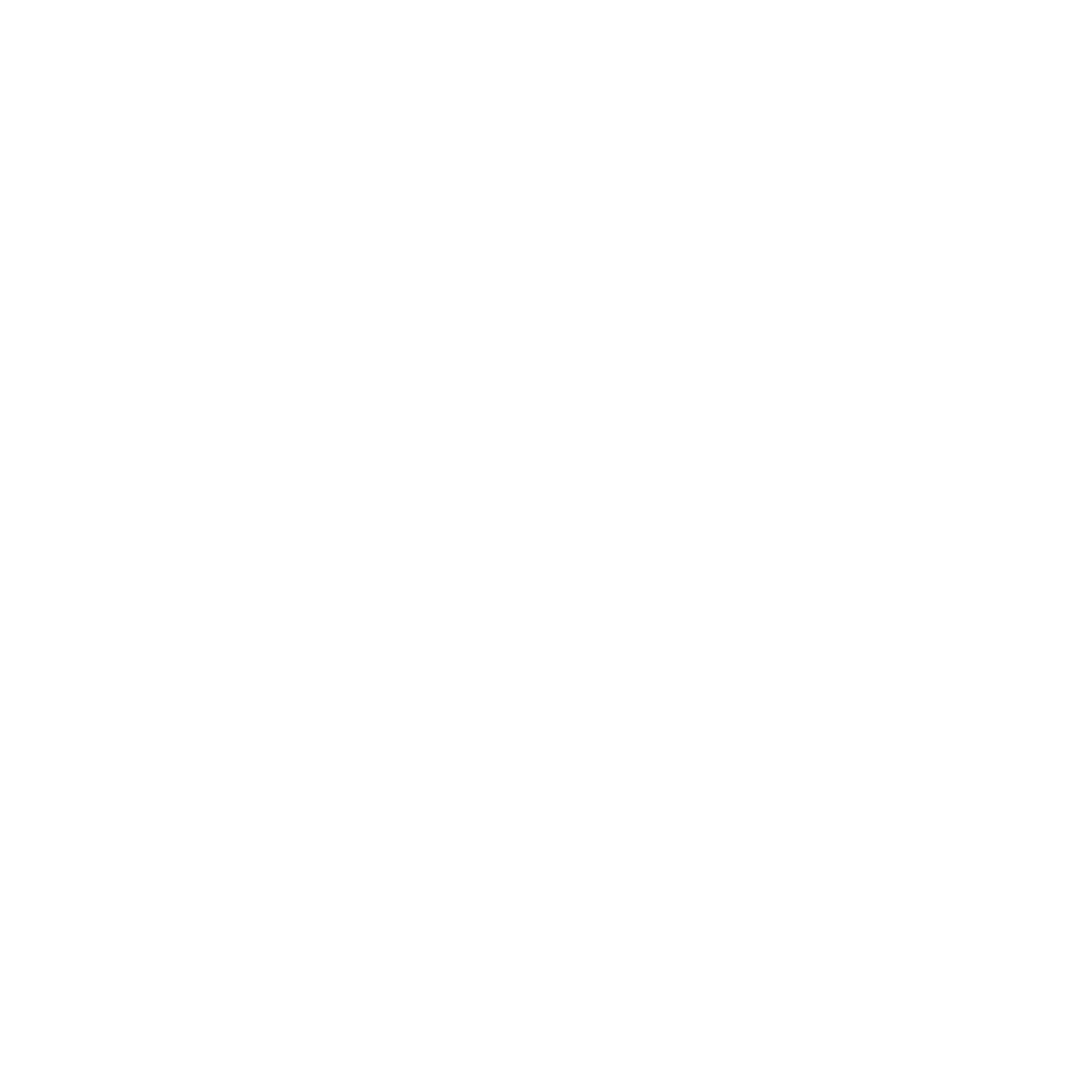 Hand-drawn white illustration of birds in medallions, a cowboy boot, a snake, a dragonfly and two cacti