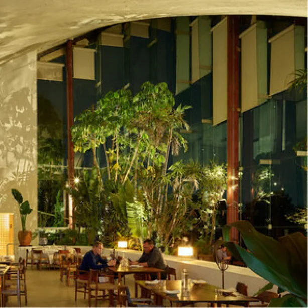 LagoAlgo’s dining room, filled with tropical plants